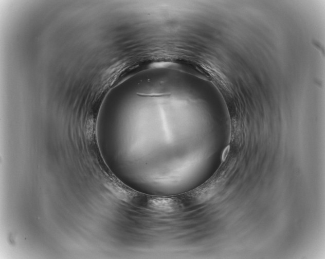 X0000094370189200711021537