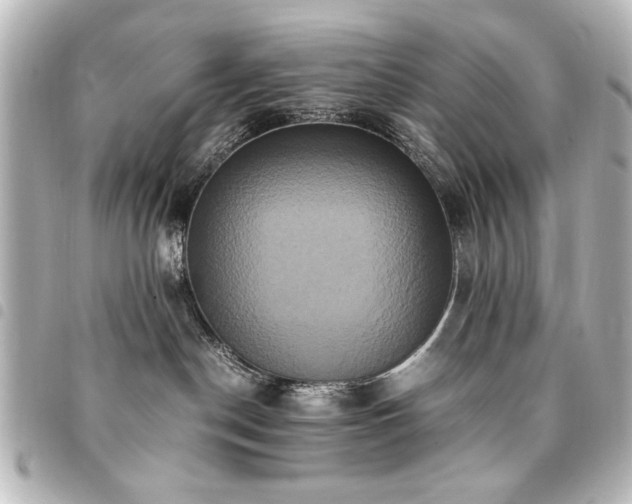 X0000094370190200711021537