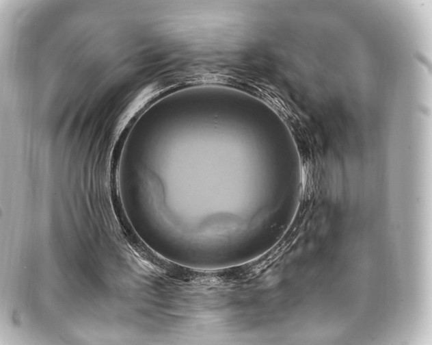 X0000094370195200711021536