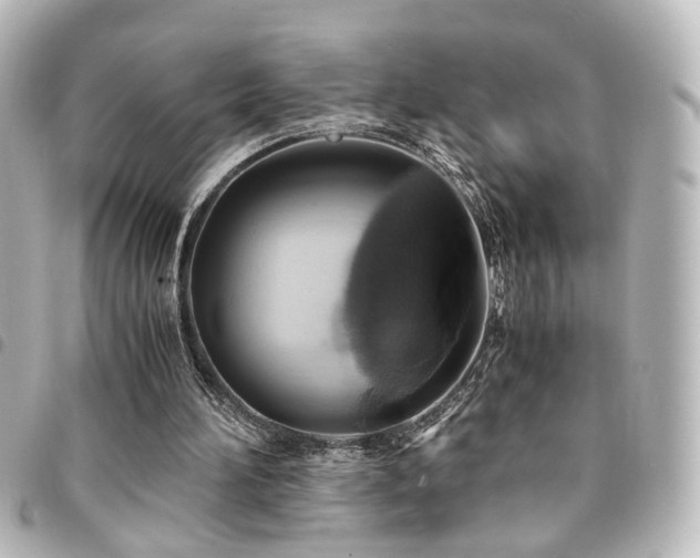 X0000094370196200711021536