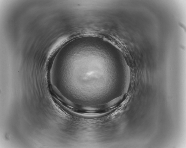 X0000094370197200711021536