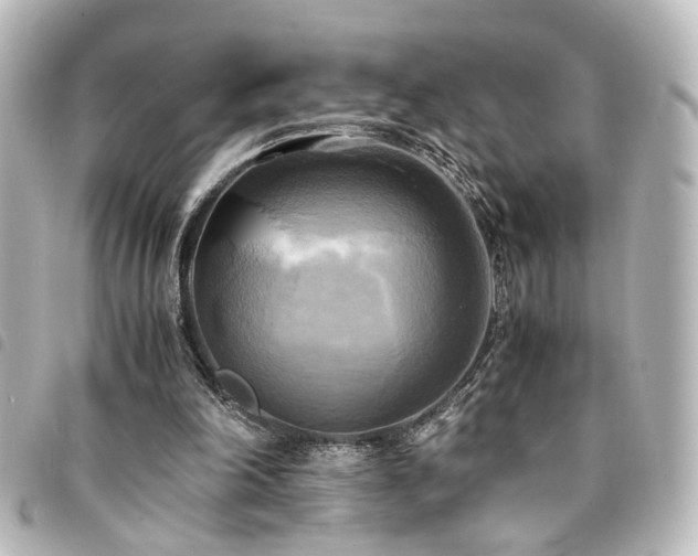 X0000094370198200711021536