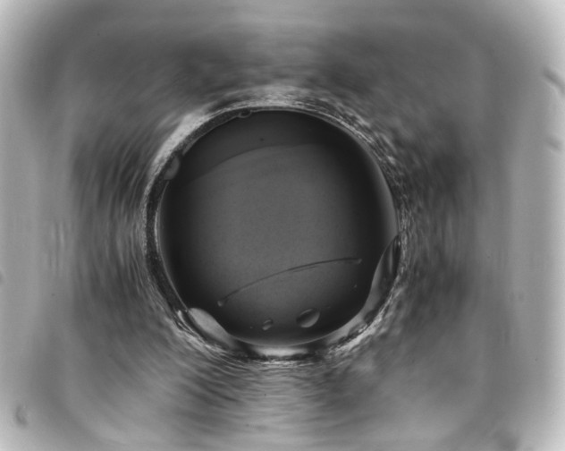 X0000094370200200711021536
