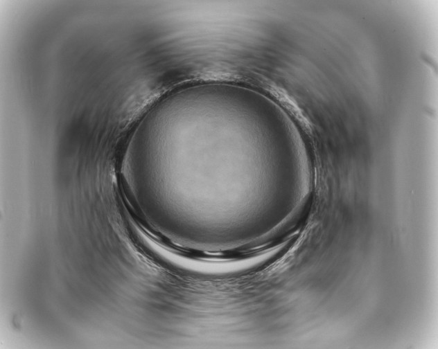 X0000094370201200711021536