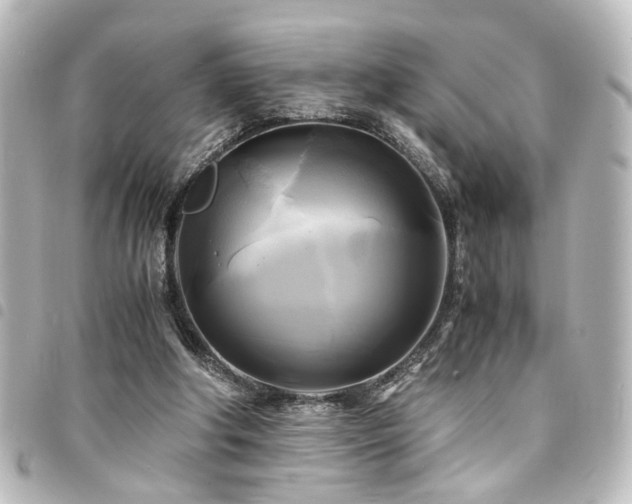 X0000094370202200711021536