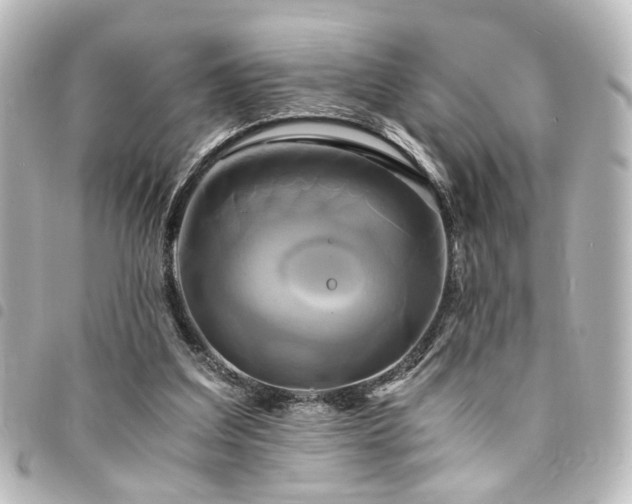 X0000094370203200711021536