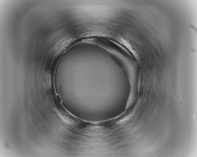 X0000094370205200711021536