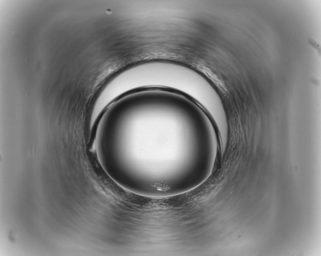 X0000094370207200711021536
