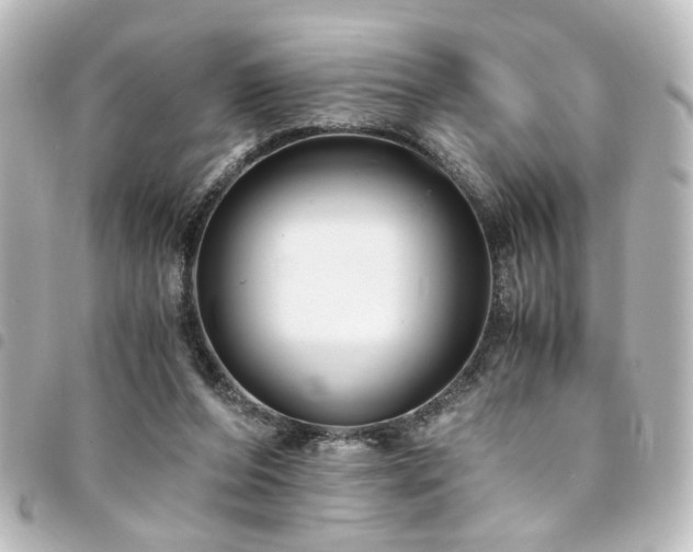 X0000094370208200711021536