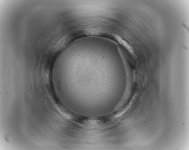 X0000094370209200711021536