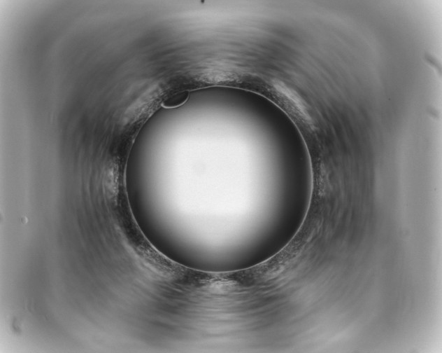 X0000094370210200711021536