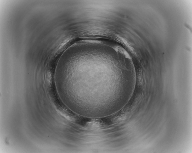 X0000094370211200711021536