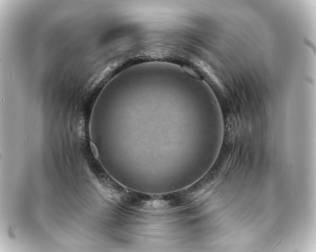 X0000094370212200711021536