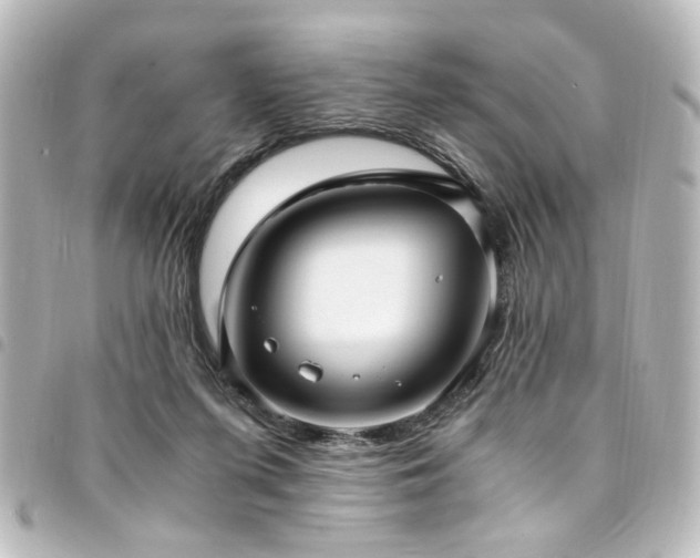 X0000094370215200711021536