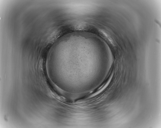 X0000094370217200711021536