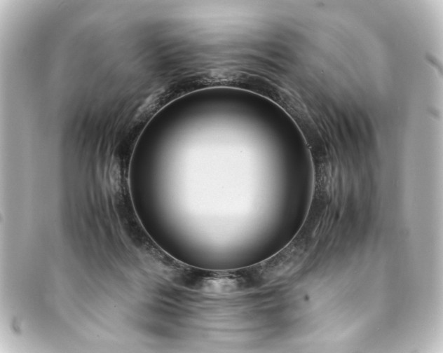 X0000094370220200711021536