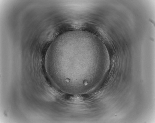 X0000094370221200711021536