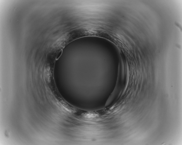 X0000094370223200711021536