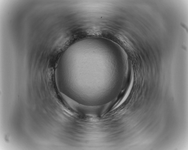 X0000094370229200711021536