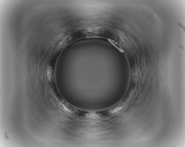 X0000094370231200711021536