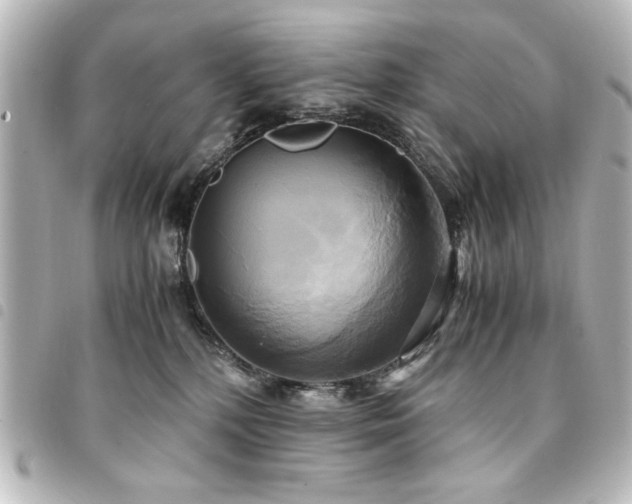 X0000094370232200711021536