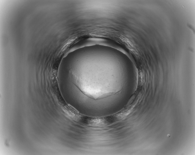 X0000094370237200711021536