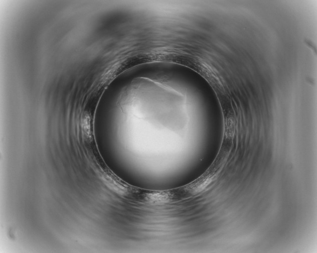 X0000094370238200711021535