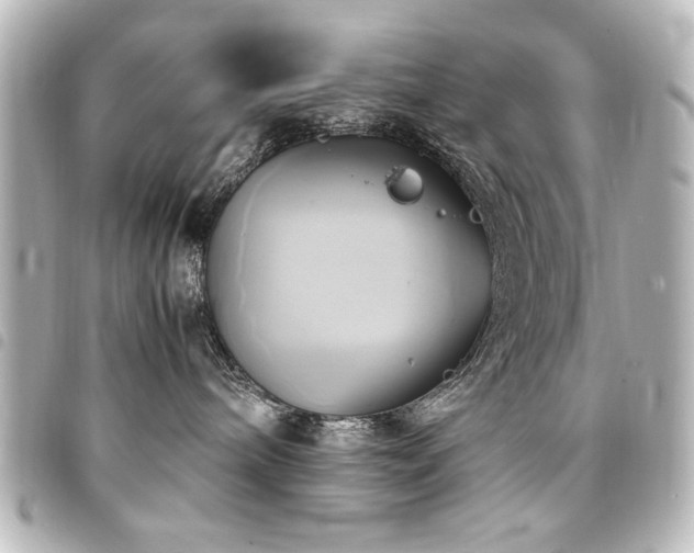 X0000094370240200711021535