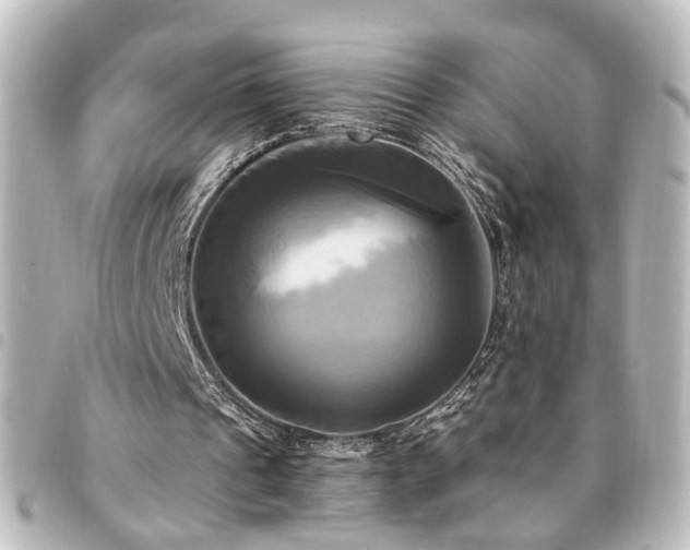 X0000094370241200711021535
