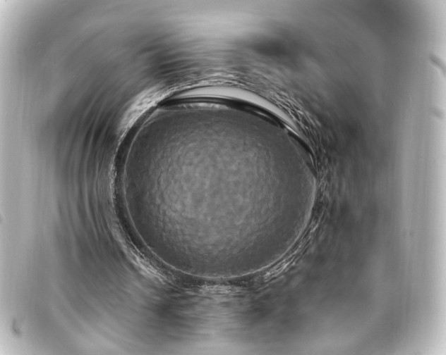 X0000094370242200711021535