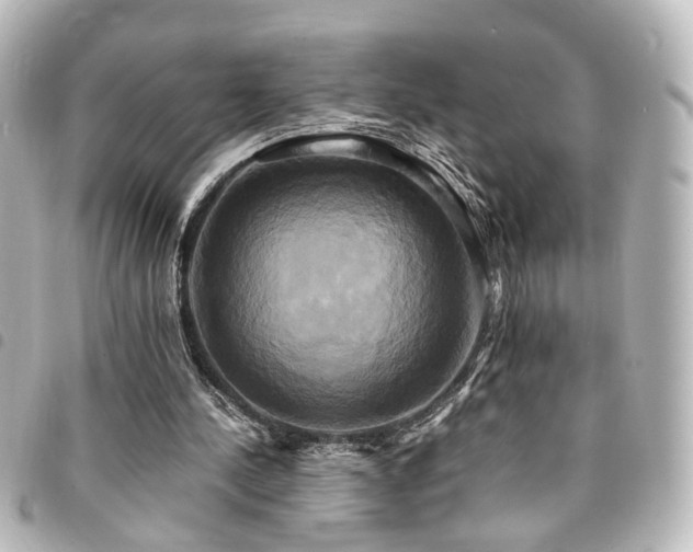 X0000094370244200711021535