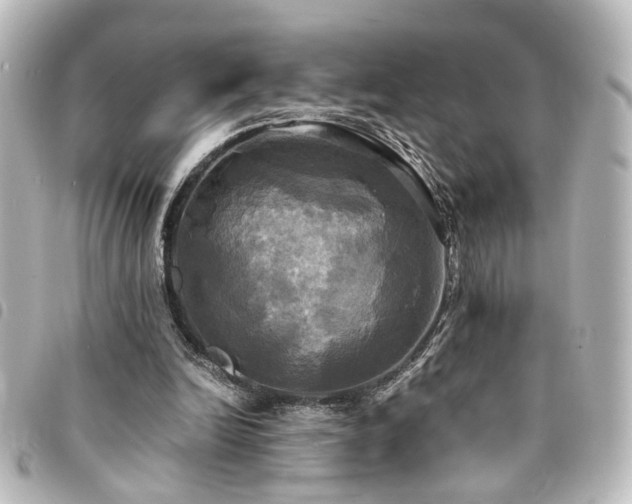 X0000094370246200711021535