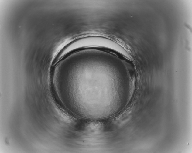 X0000094370248200711021535
