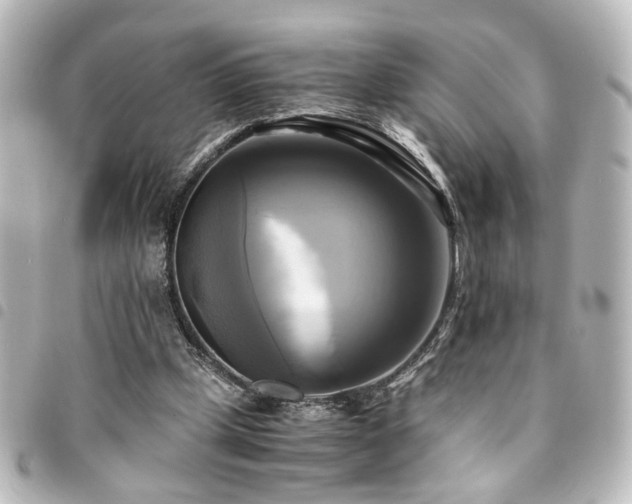 X0000094370249200711021535