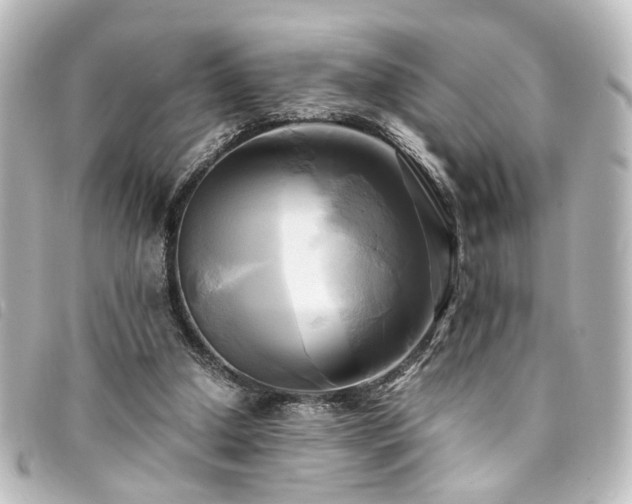 X0000094370250200711021535
