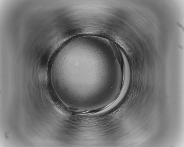 X0000094370252200711021535