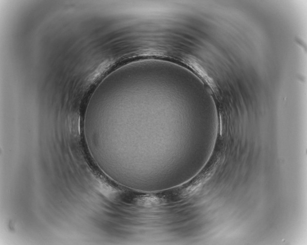 X0000094370253200711021535
