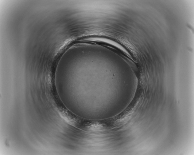 X0000094370256200711021535