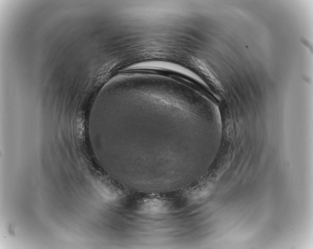 X0000094370259200711021535