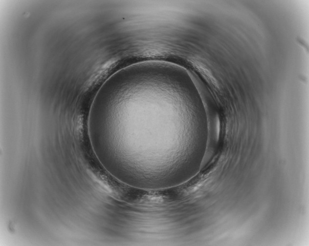 X0000094370260200711021535