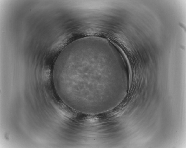 X0000094370263200711021535