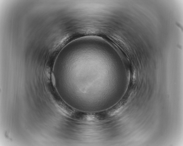 X0000094370264200711021535