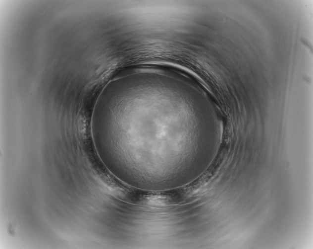 X0000094370268200711021535