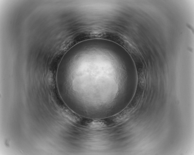 X0000094370270200711021535