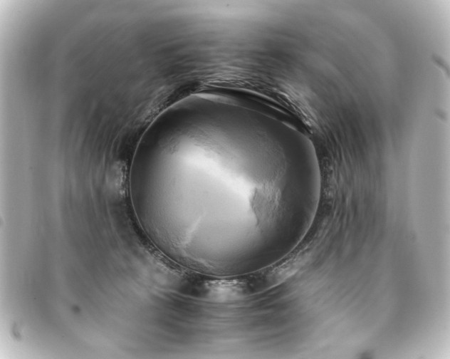 X0000094370273200711021535