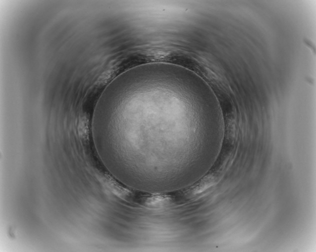 X0000094370274200711021535