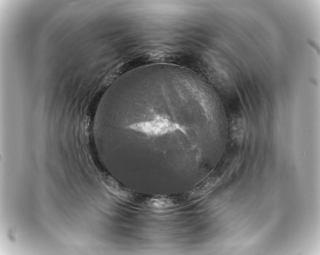 X0000094370275200711021535