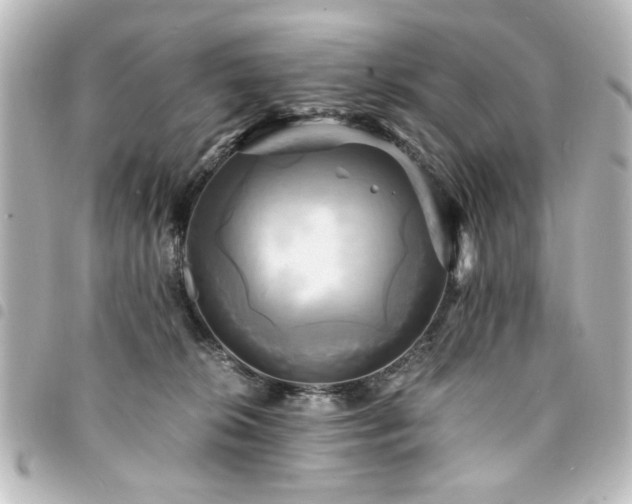 X0000094370276200711021535