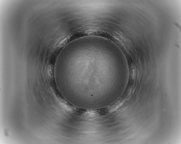 X0000094370280200711021535
