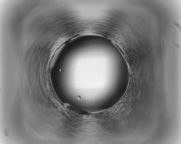 X0000094370289200711021535